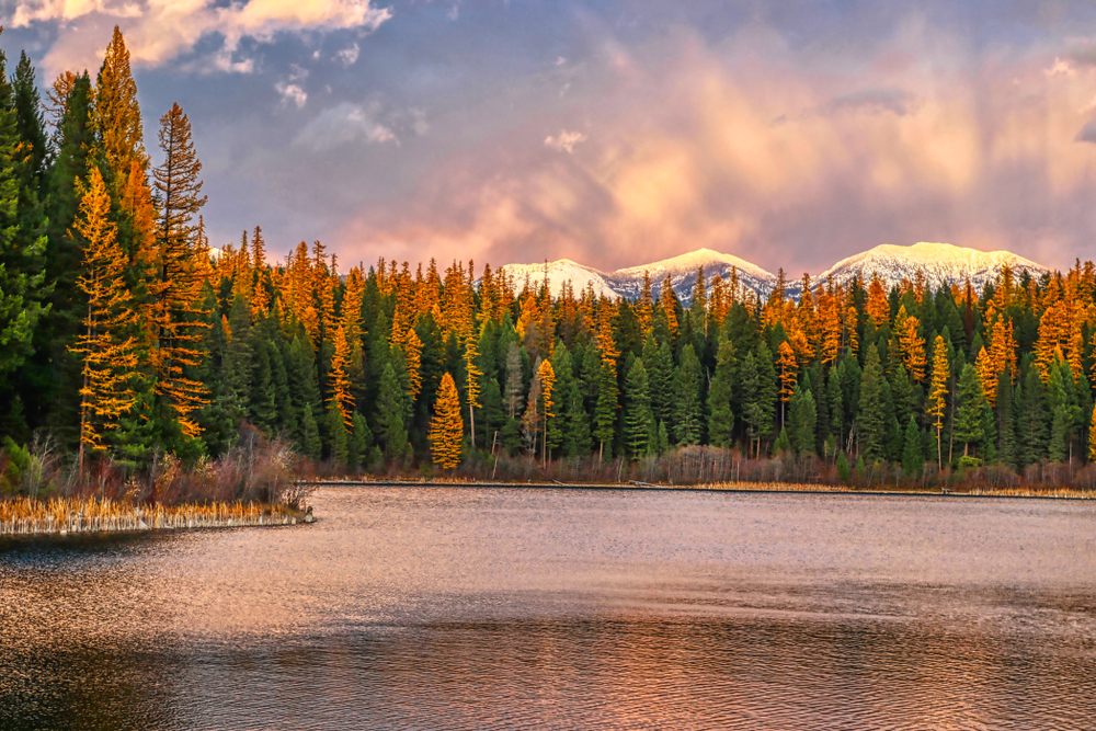 a spectacular sunset with rays spreading over the sky. white topped snowy mountains peak over a line of tall pines tipped with orange. a calm lake is in front reflecting the sky