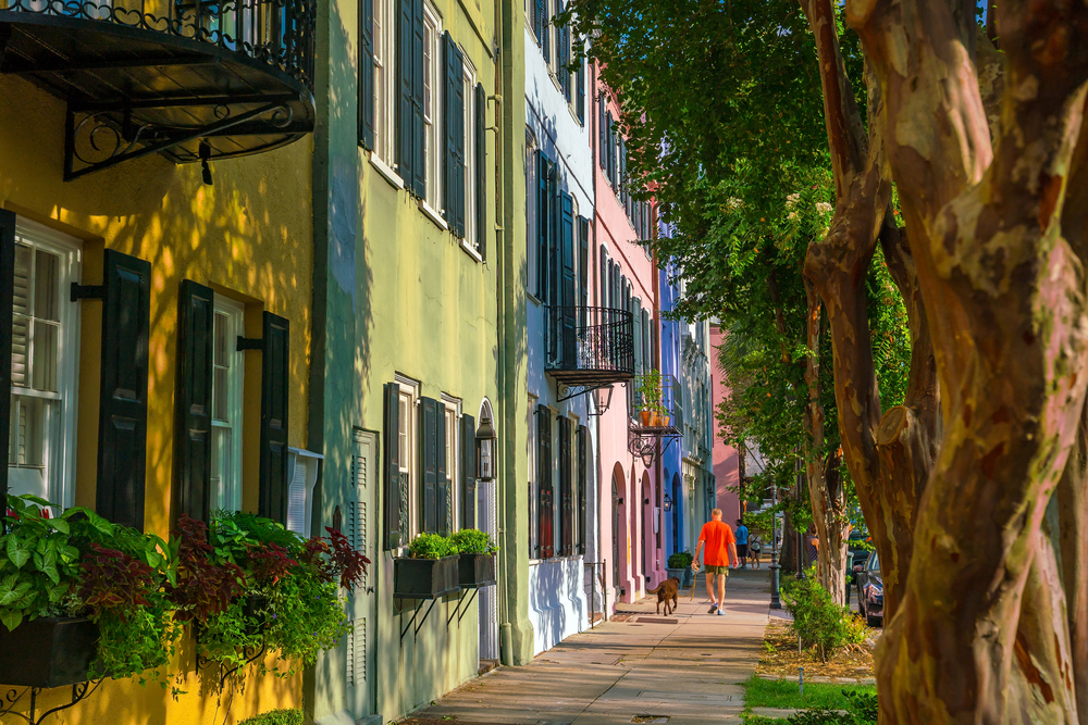 view down a colorful street in charleston south carolina. man walking dog in the distance. buildings are brightly colored with lots of greenery