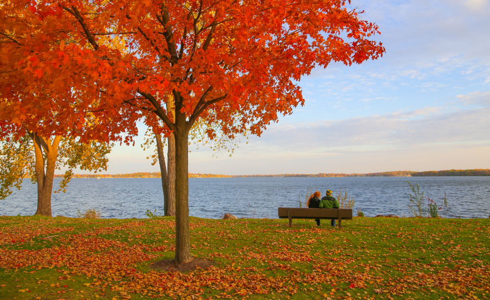 A couple looks out over a lake with a tree behind them in full fall foliage at one of the top romantic getaways in Wisconsin.